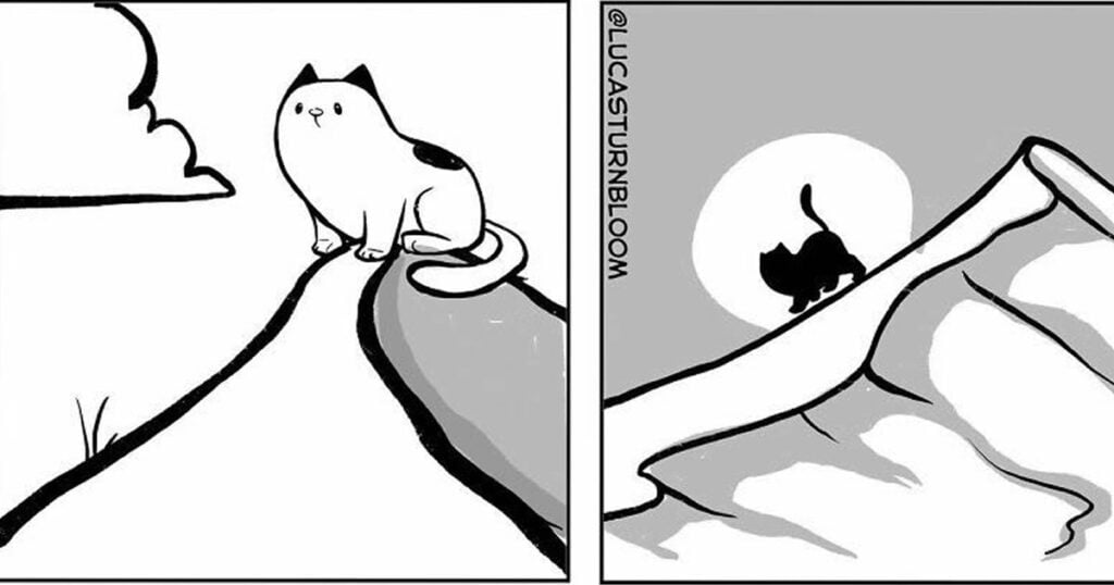 O mundo visto pelo gato O mundo visto pelo gato