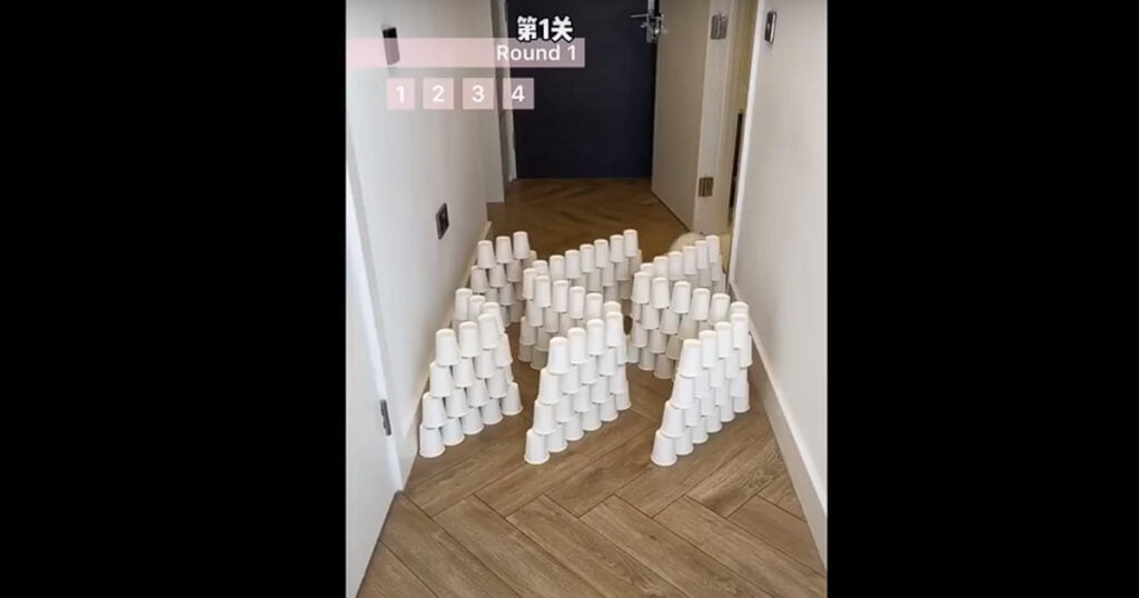 Treinamento para gatos: Missão impossível