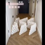 Treinamento para gatos: Missão impossível