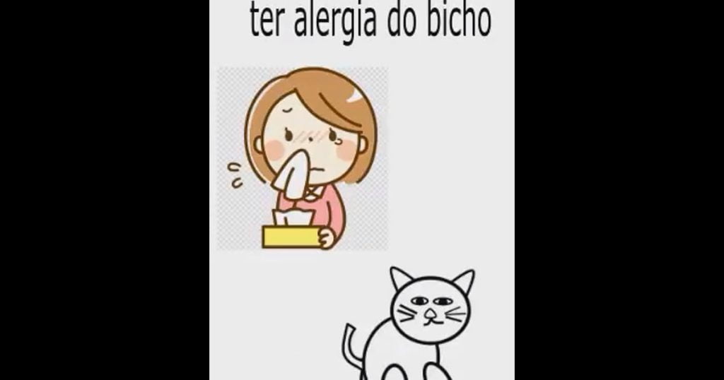 A saga para adotar um gato