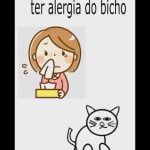 A saga para adotar um gato