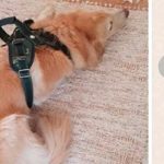 Aquele piada com humor pesado