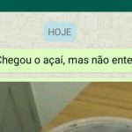 Chegou Açaí desmontado