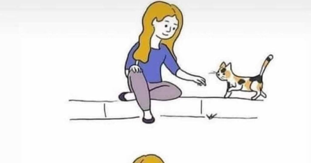 Quando você adotar um gato Quando você adotar um gato