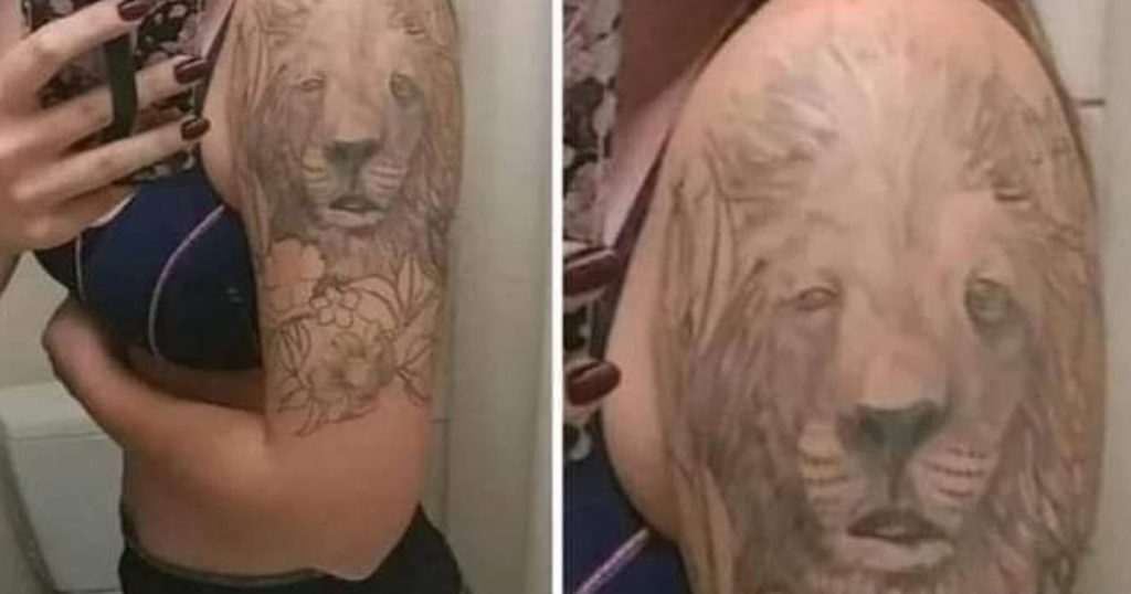 Acho que esse leão vai espirrar Acho que esse leão vai espirrar