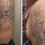 Acho que esse leão vai espirrar