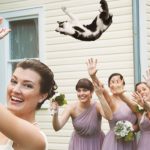 Buquês de noiva substituídos por gatos