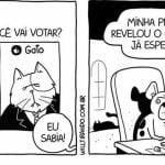 Como funciona as pesquisas eleitorais