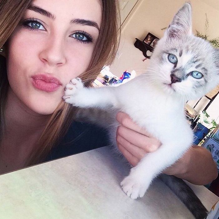 21 gatos que realmente odeiam carinho