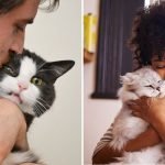 21 gatos que realmente odeiam carinho