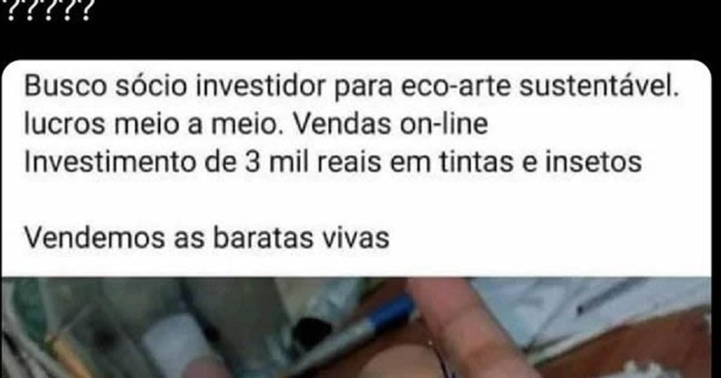 Busco sócio para um incrível investimento Busco sócio para um incrível investimento