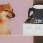 A vida de quem vai ferver o leite