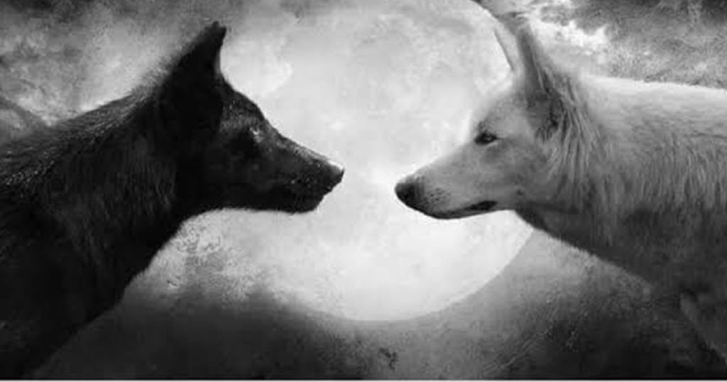 Dentro de você existem dois lobos