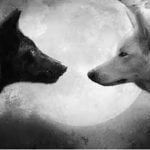 Dentro de você existem dois lobos