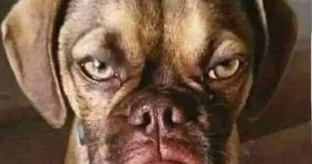 Ajude o comércio local