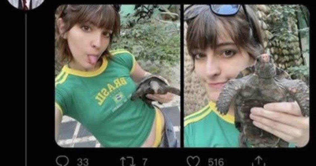 E para você é uma mulher ou um jabuti? E para você é uma mulher ou um jabuti?