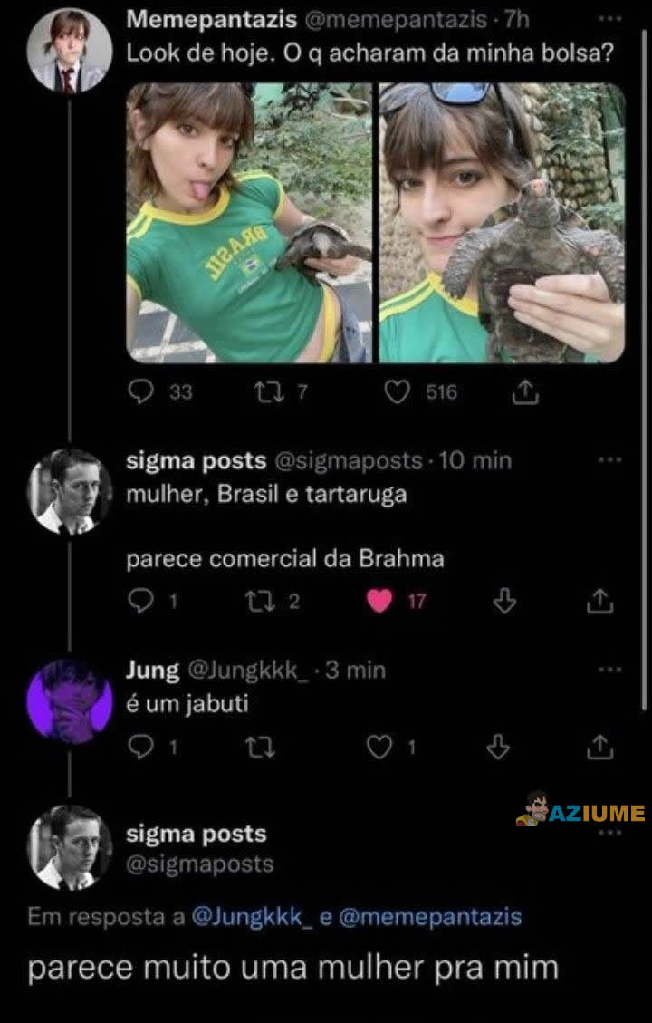 E para você é uma mulher ou um jabuti?
