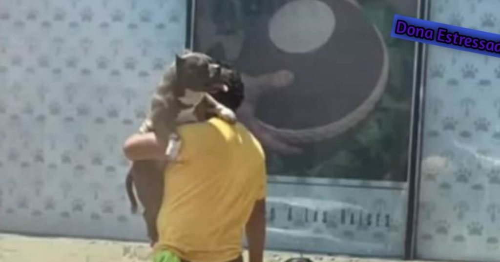 Prioridade cada um tem a sua