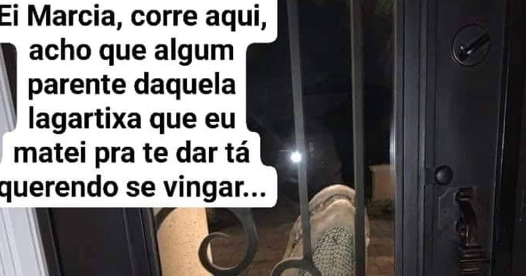 Quando parente da lagartixa aparece em casa Quando parente da lagartixa aparece em casa