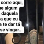 Quando parente da lagartixa aparece em casa