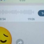 Quando seu pai resolve mandar um áudio para você