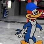 Seria o certo fazer isso com o mecânico?