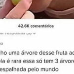 Uma árvore bem rara