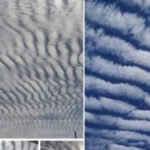 Existem 2 tipos de pessoa