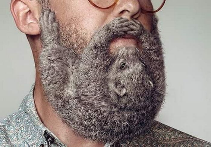 Nova tendência masculina 2023: barbas em forma de animais