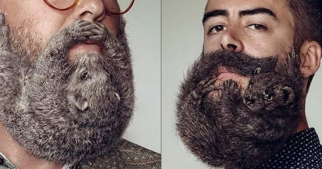 Nova tendência masculina 2023: barbas em forma de animais Nova tendência masculina 2023: barbas em forma de animais