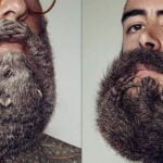 Nova tendência masculina 2023: barbas em forma de animais