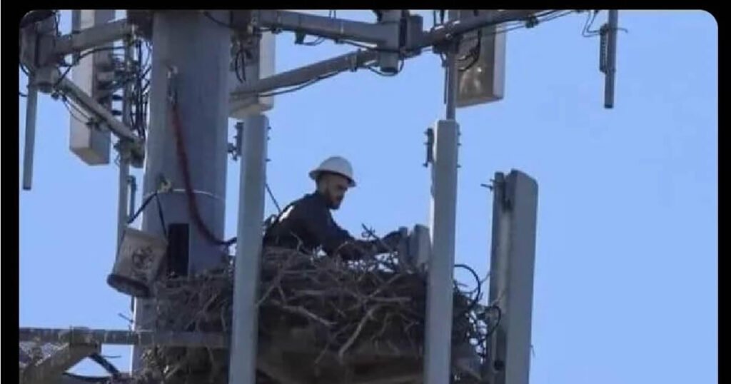 A natureza é mesmo mágica! A natureza é mesmo mágica!