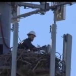 A natureza é mesmo mágica!