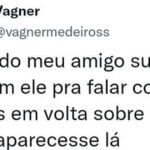 Isso não é um gato, é um cachorro