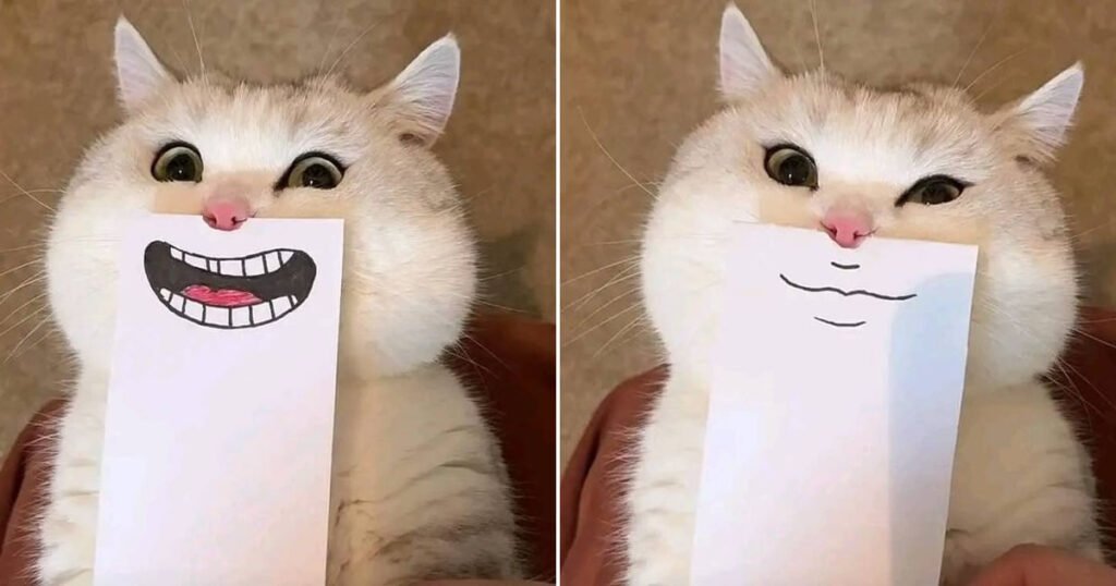 Um lindo sorriso para te alegrar!