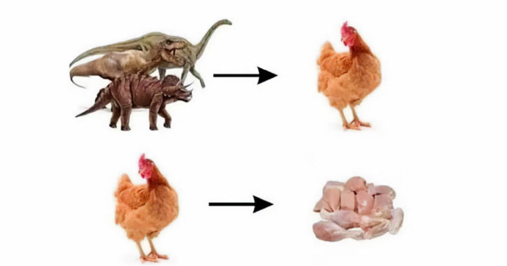 A evolução deu uma volta completa