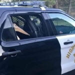 O Pelicano, inimigo natural dos seres vivos