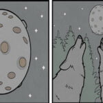 Por que o lobo uiva para a lua?