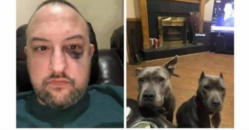 Ted e Bily salvaram minha vida