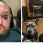 Ted e Bily salvaram minha vida