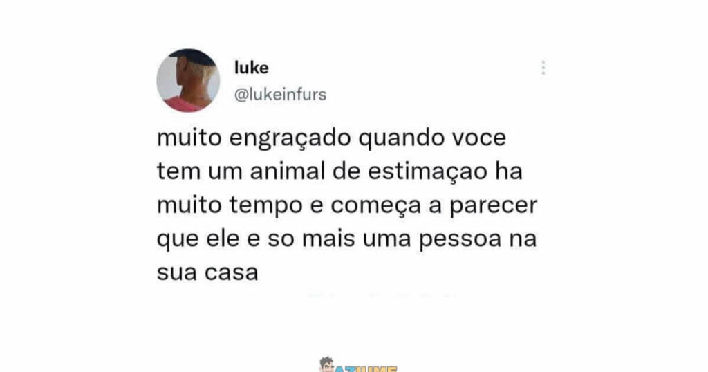 Fato que você não sabia sobre animal de estimação Fato que você não sabia sobre animal de estimação