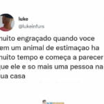 Fato que você não sabia sobre animal de estimação
