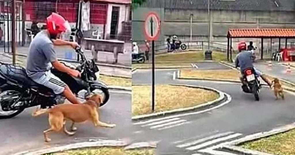 Cada dia mais realista a auto escola Cada dia mais realista a auto escola