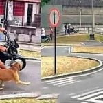 Cada dia mais realista a auto escola