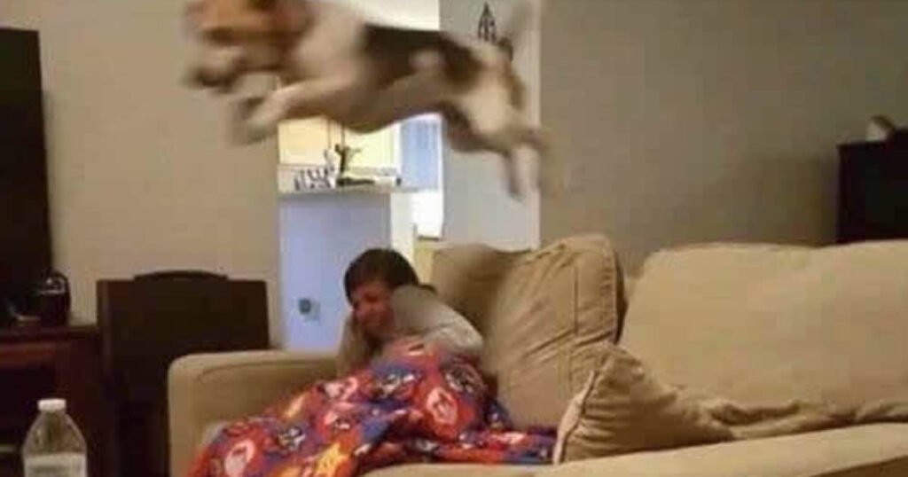 Quando alguém bate no portão e meu carro faz isso