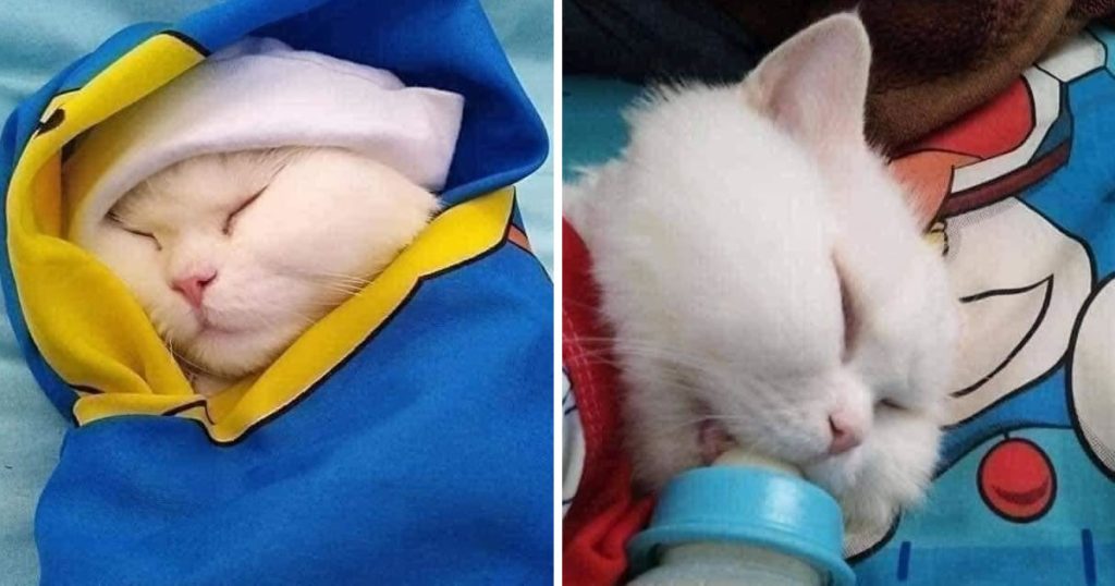 Quando minha mãe pergunta se eu vou dar neto para ela Quando minha mãe pergunta se eu vou dar neto para ela