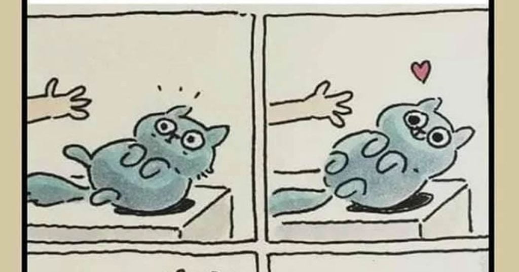 A armadilha que todo mundo sempre cai