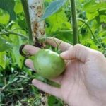 Quando sua mãe é sincera até demais