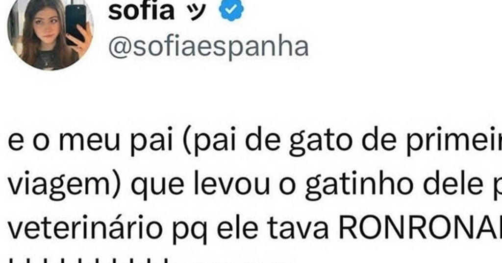 Quando você nunca teve um gato na vida Quando você nunca teve um gato na vida