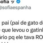 Quando você nunca teve um gato na vida